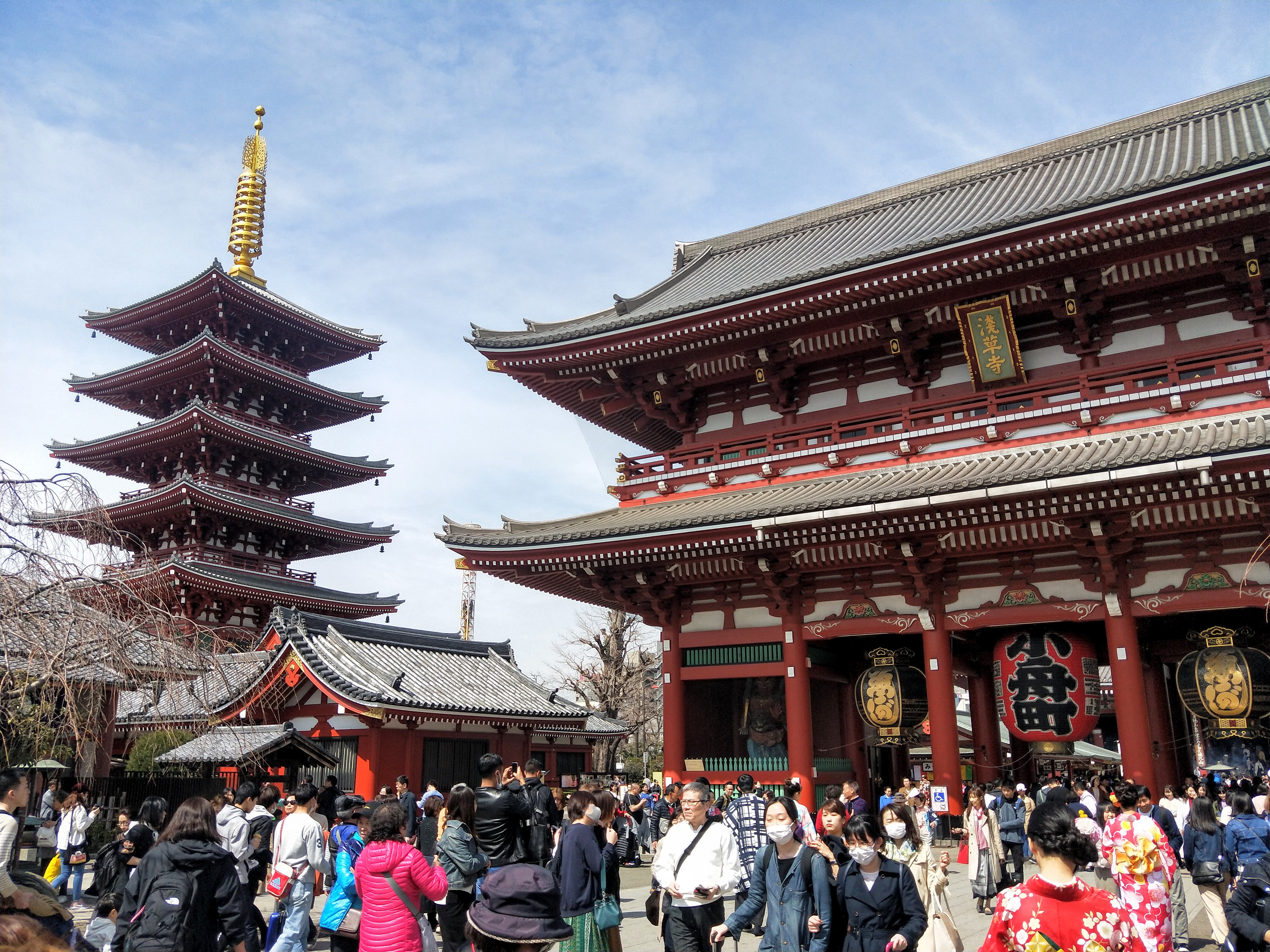 IMG20190319122236--1-