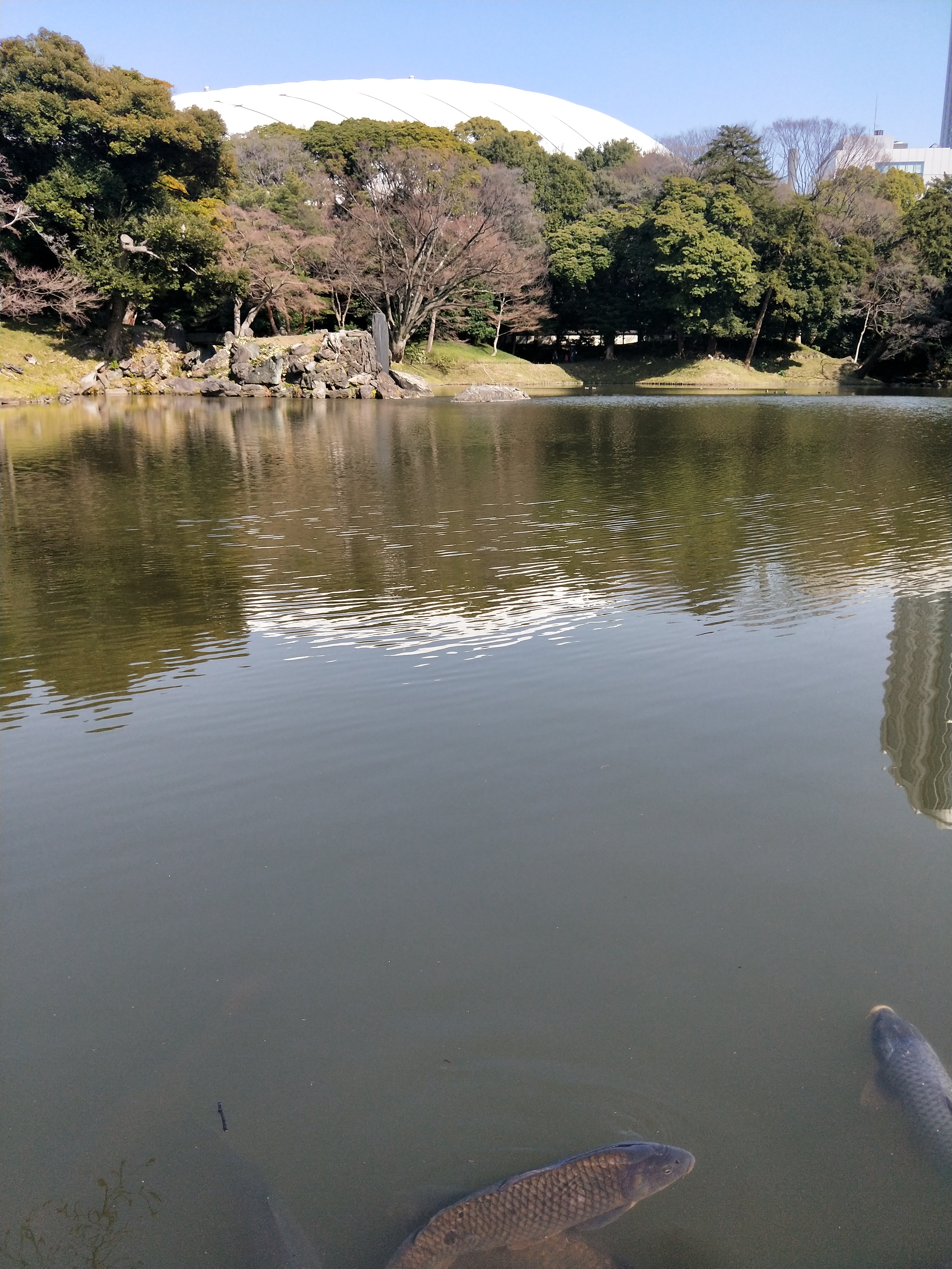 IMG20190320140734
