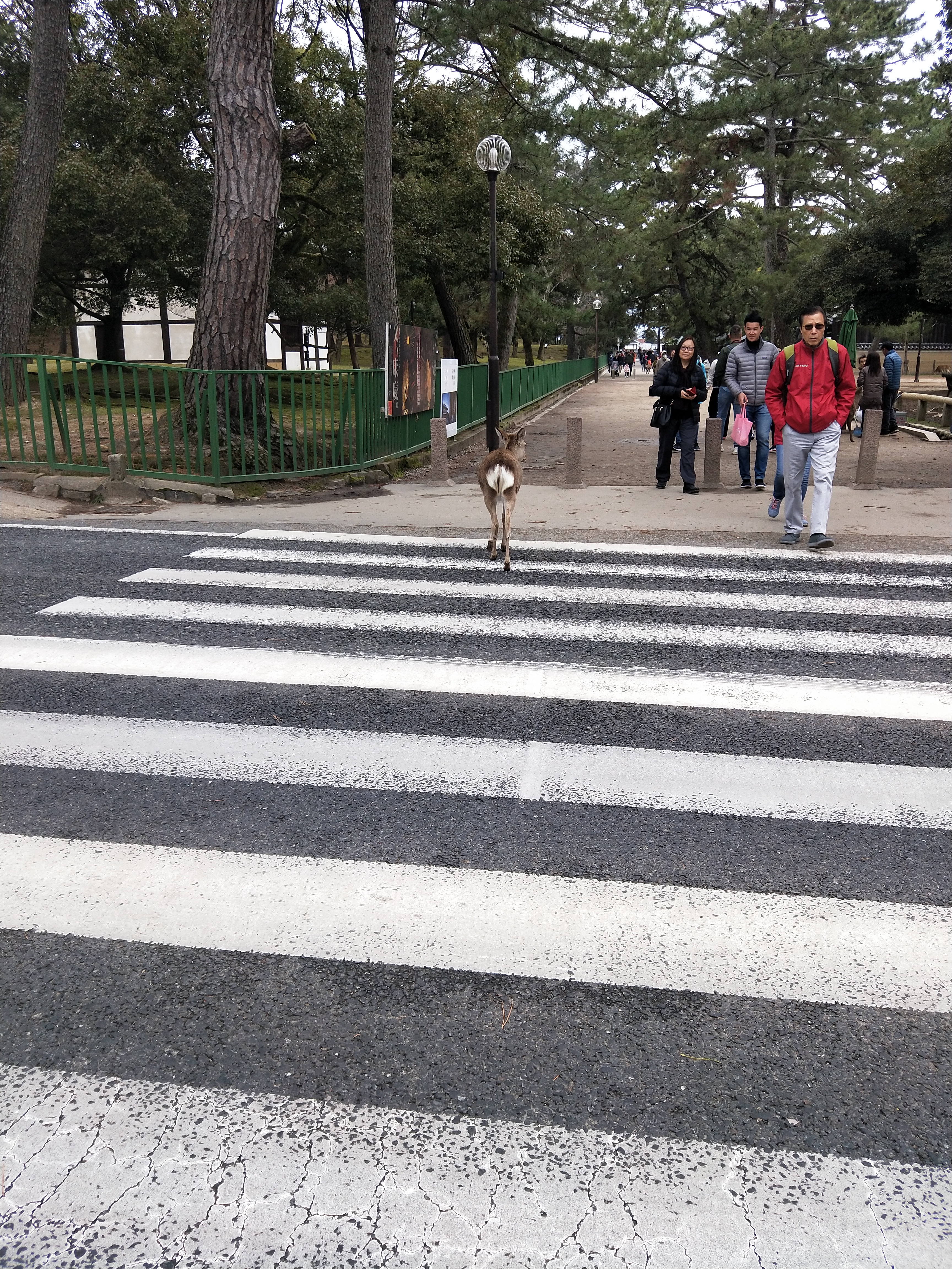 IMG20190322111659