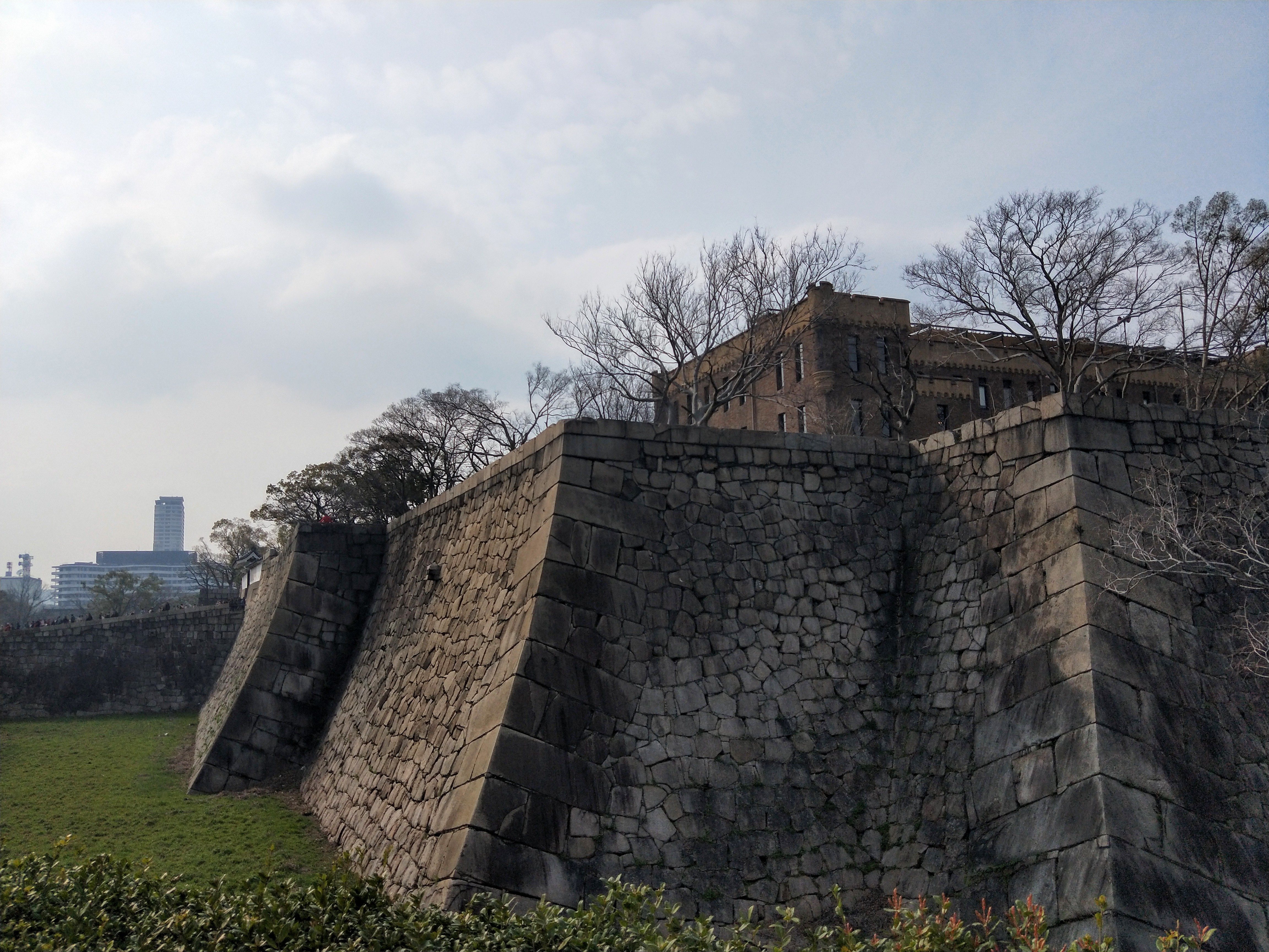 IMG20190322145526-1