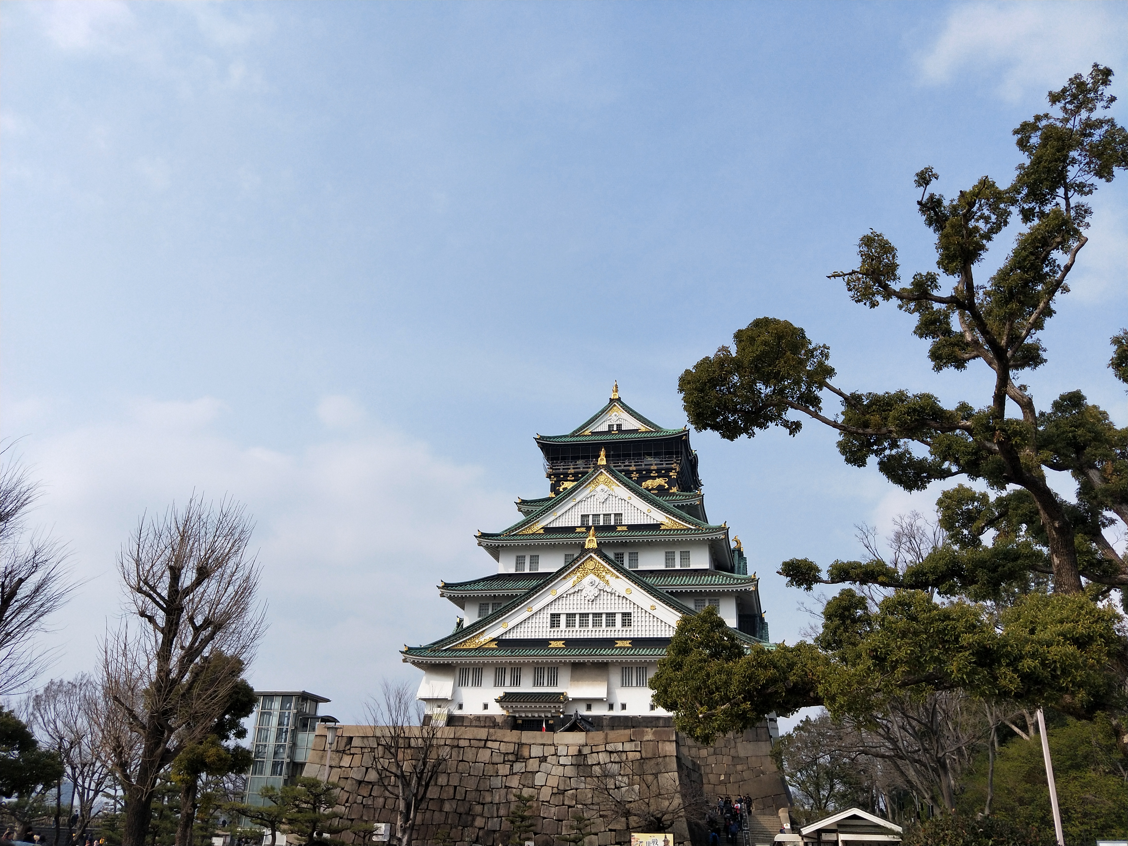 IMG20190322150311