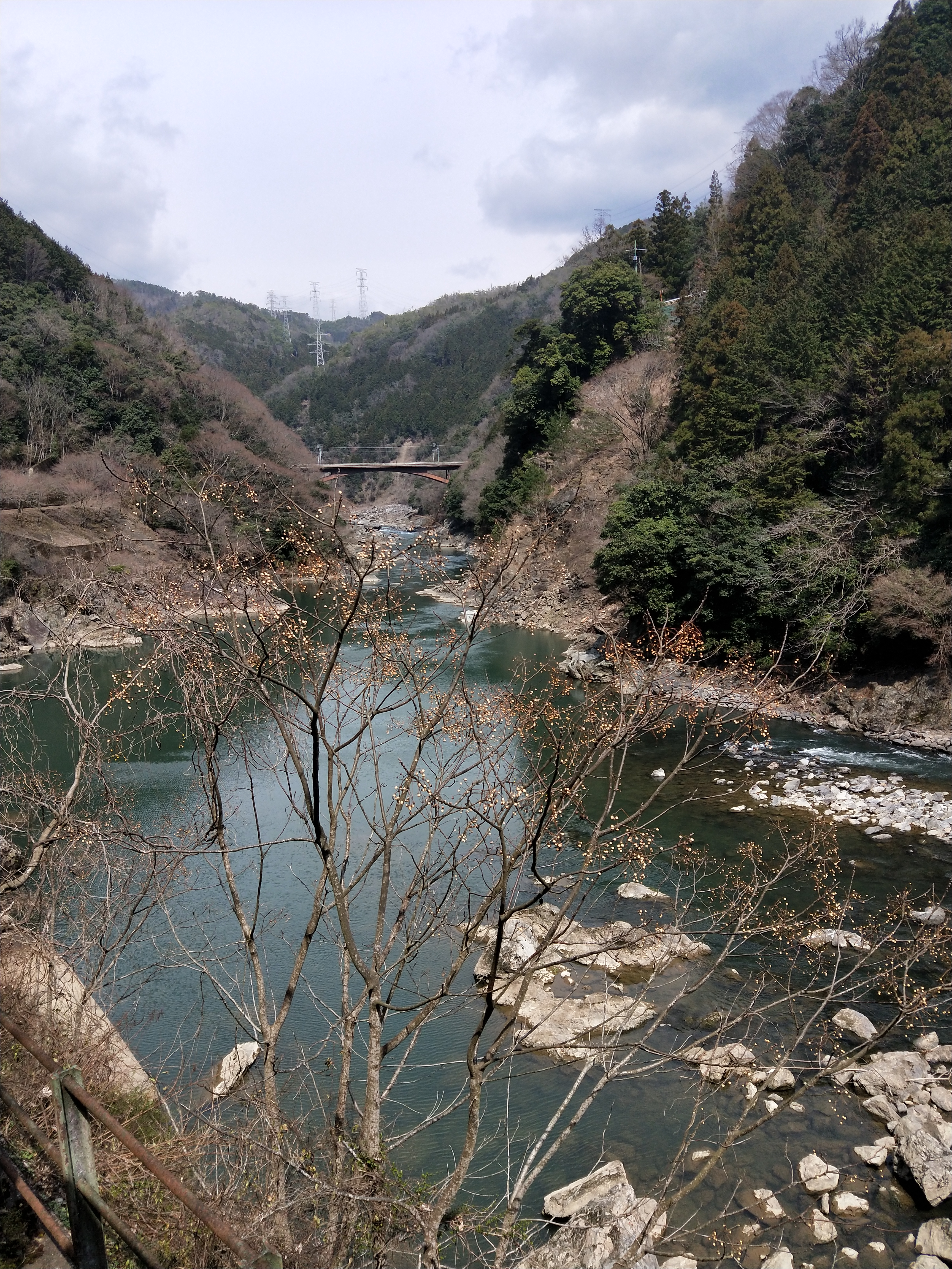 IMG20190323112019