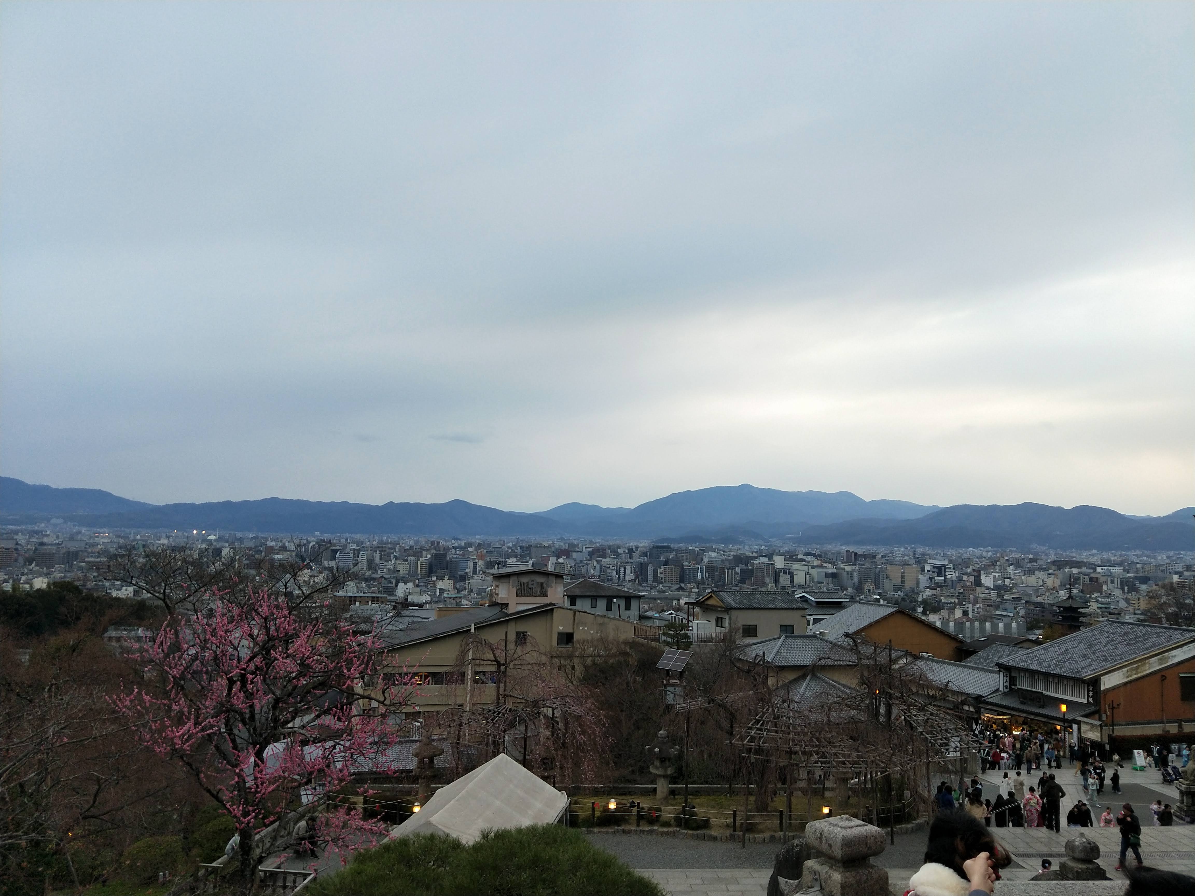 IMG20190323173147