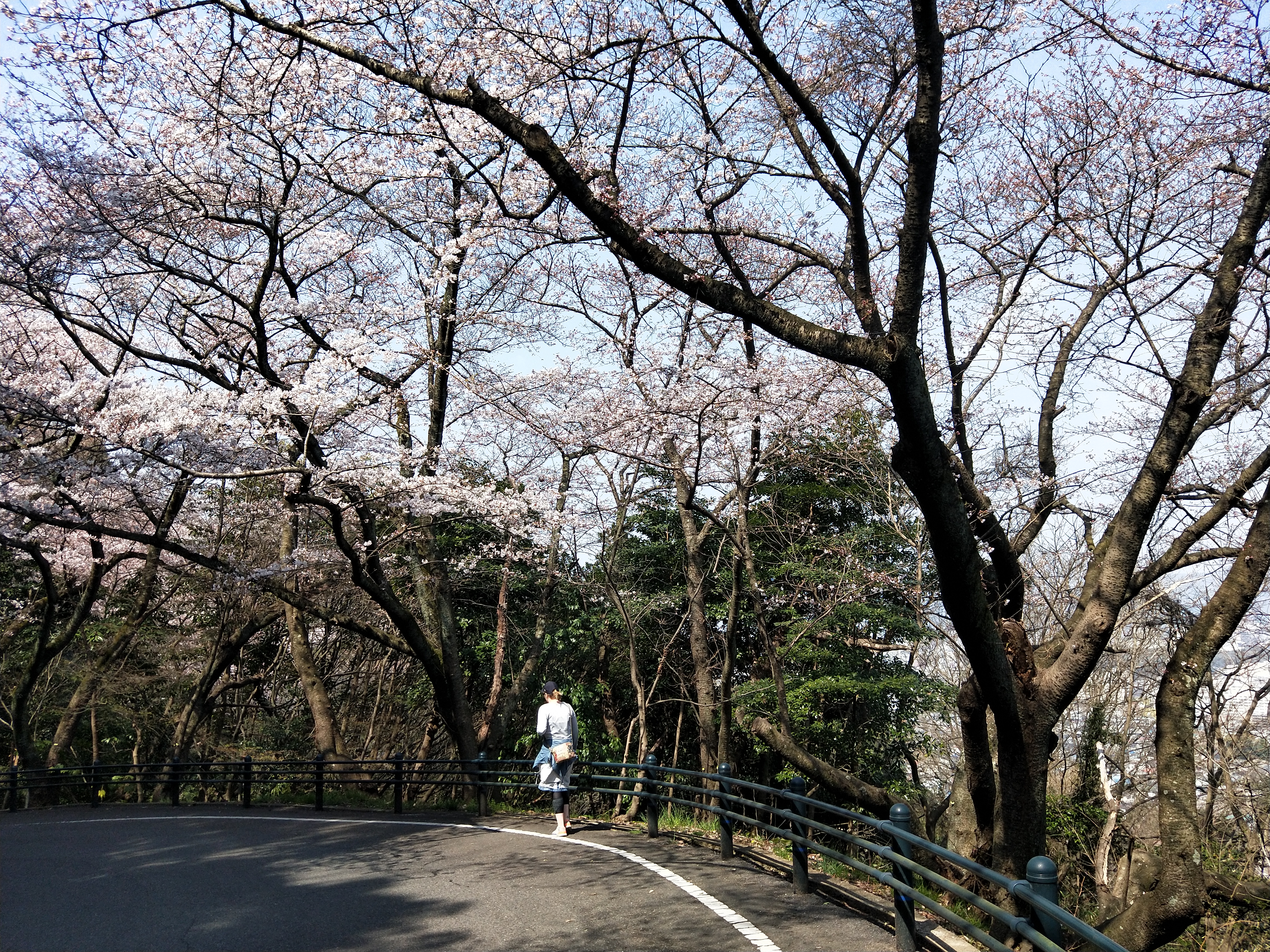 IMG20190328105044