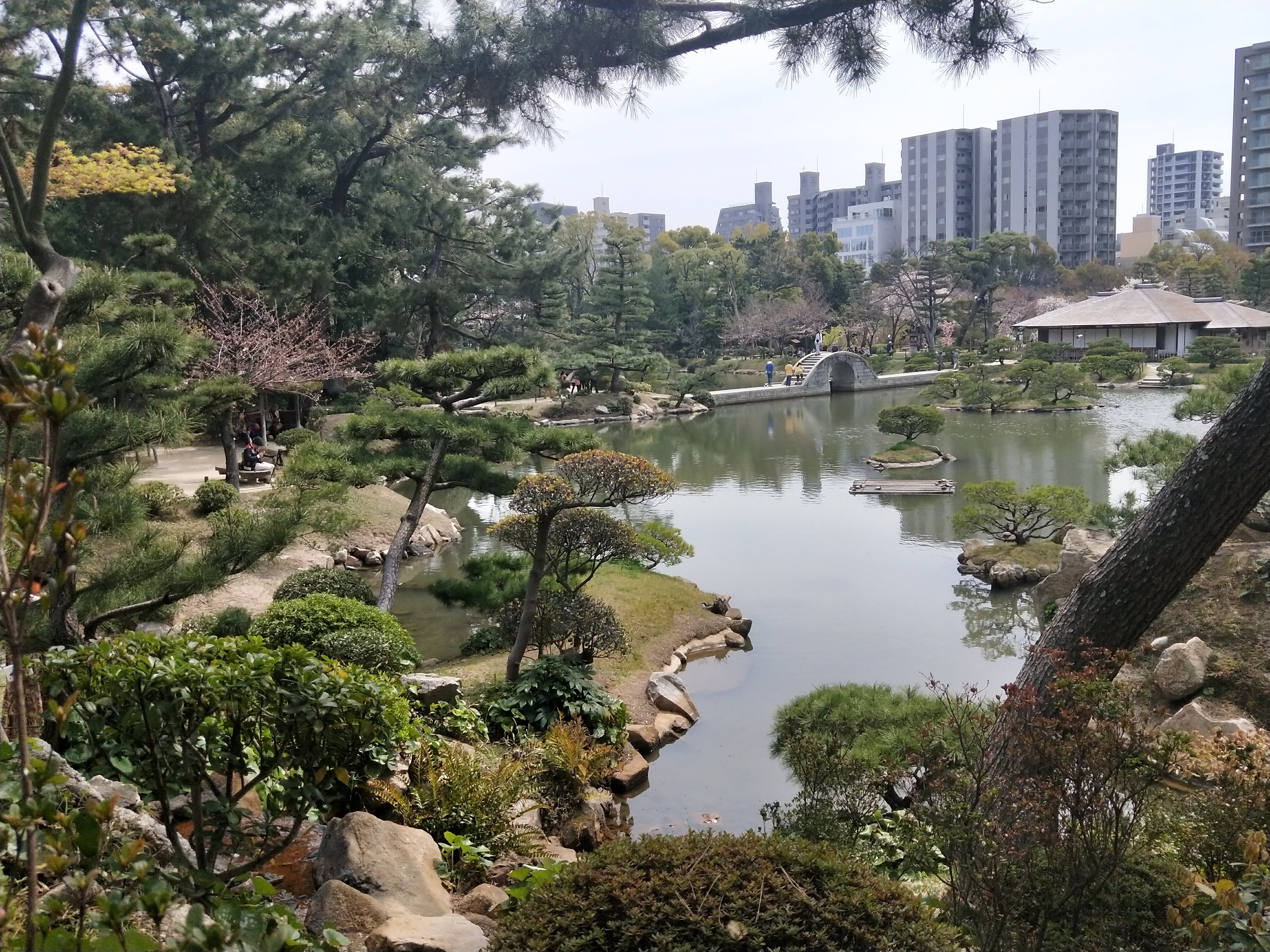 IMG20190328122831