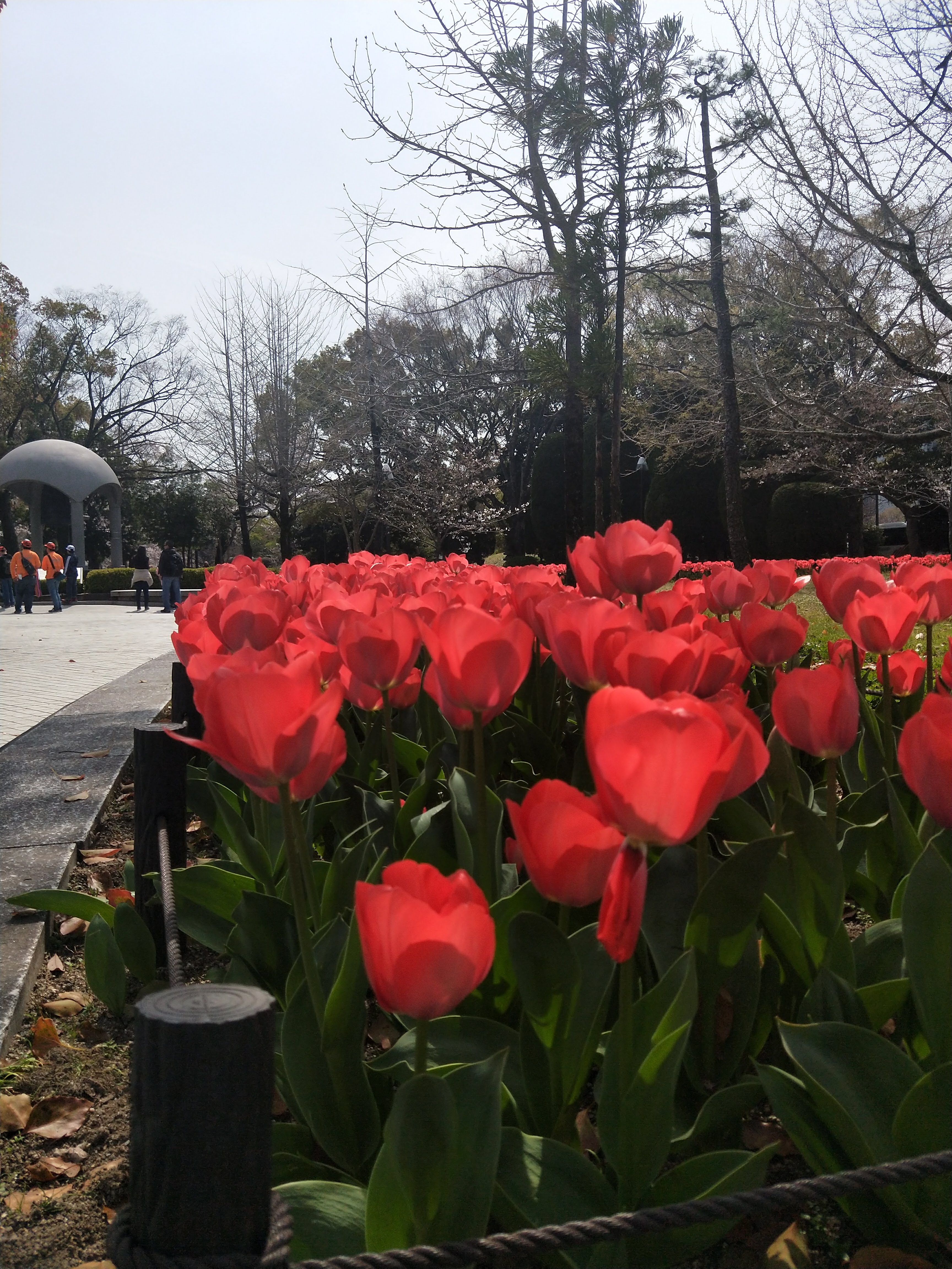 IMG20190329132756