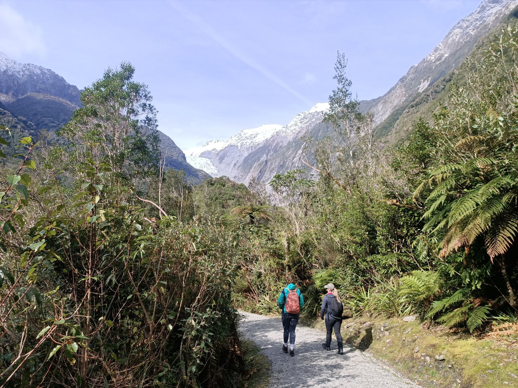 Franz Josef & Fox Glaciers