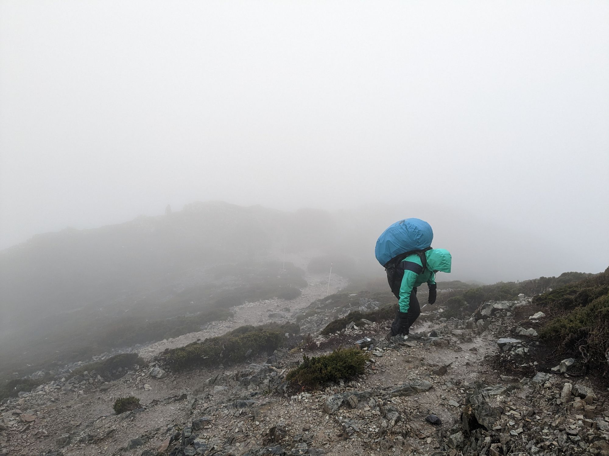 Overland Track - Day 1: Ronny Creek to Waterfall Valley