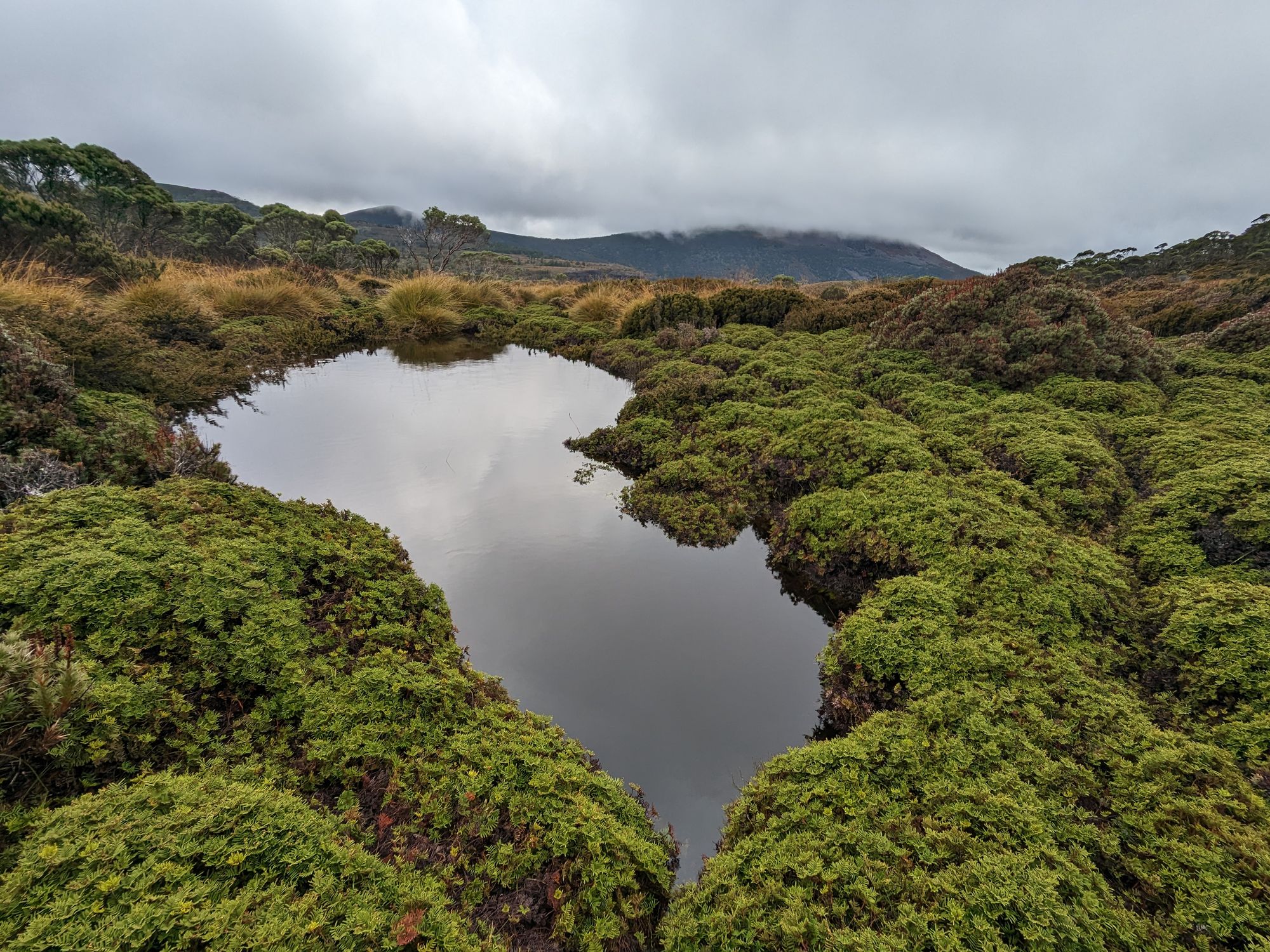 Overland Track - Day 2: Waterfall Valley to Windermere