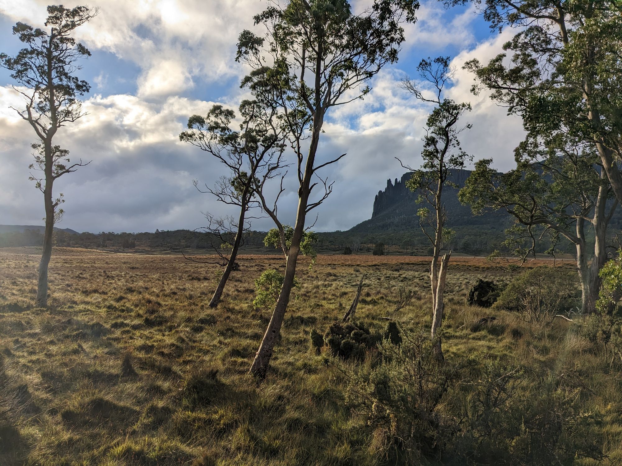 Overland Track - Day 3: Windermere to Pelion