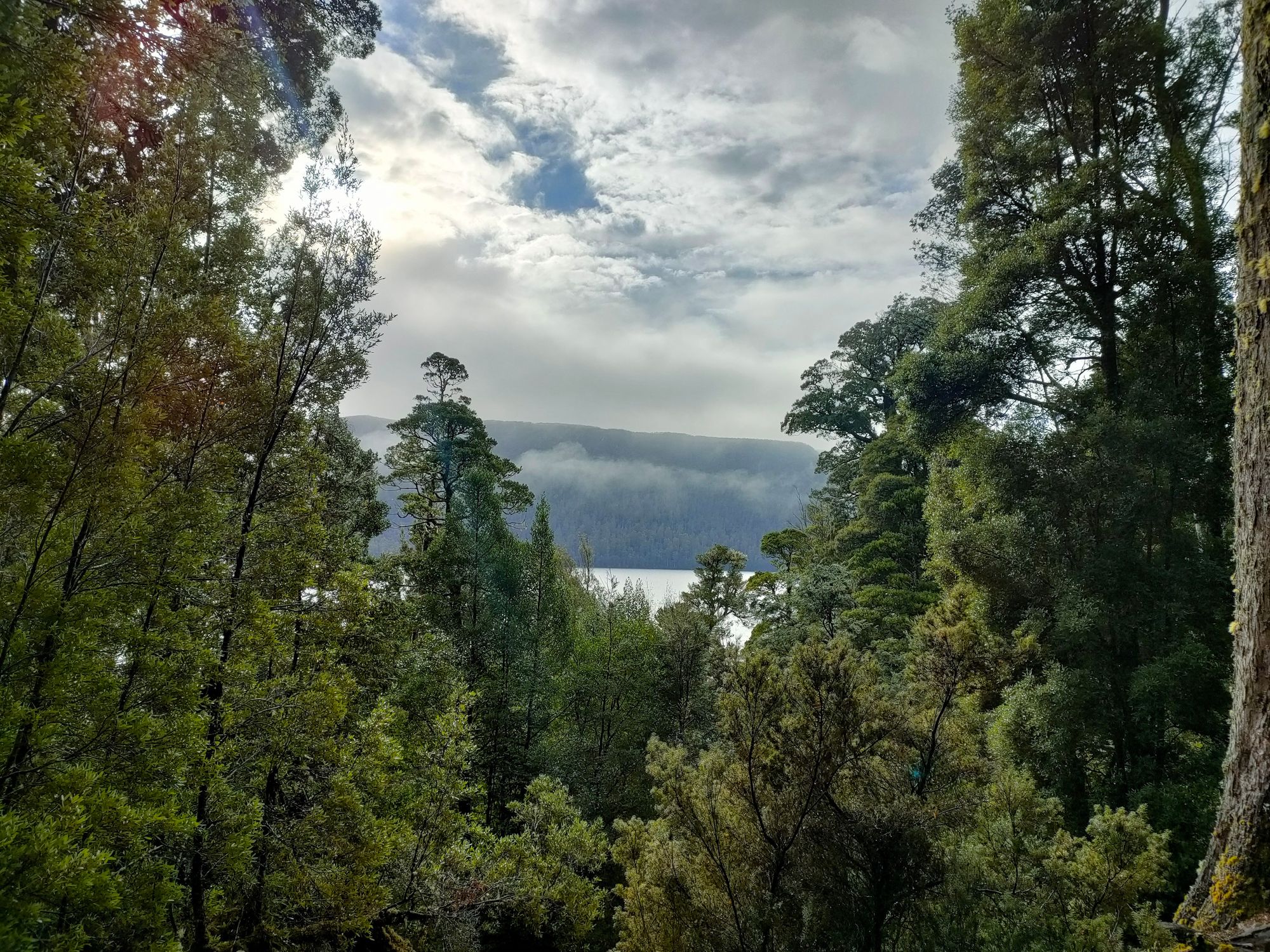Overland Track - Day 7 - Echo Point to Lake St Clair