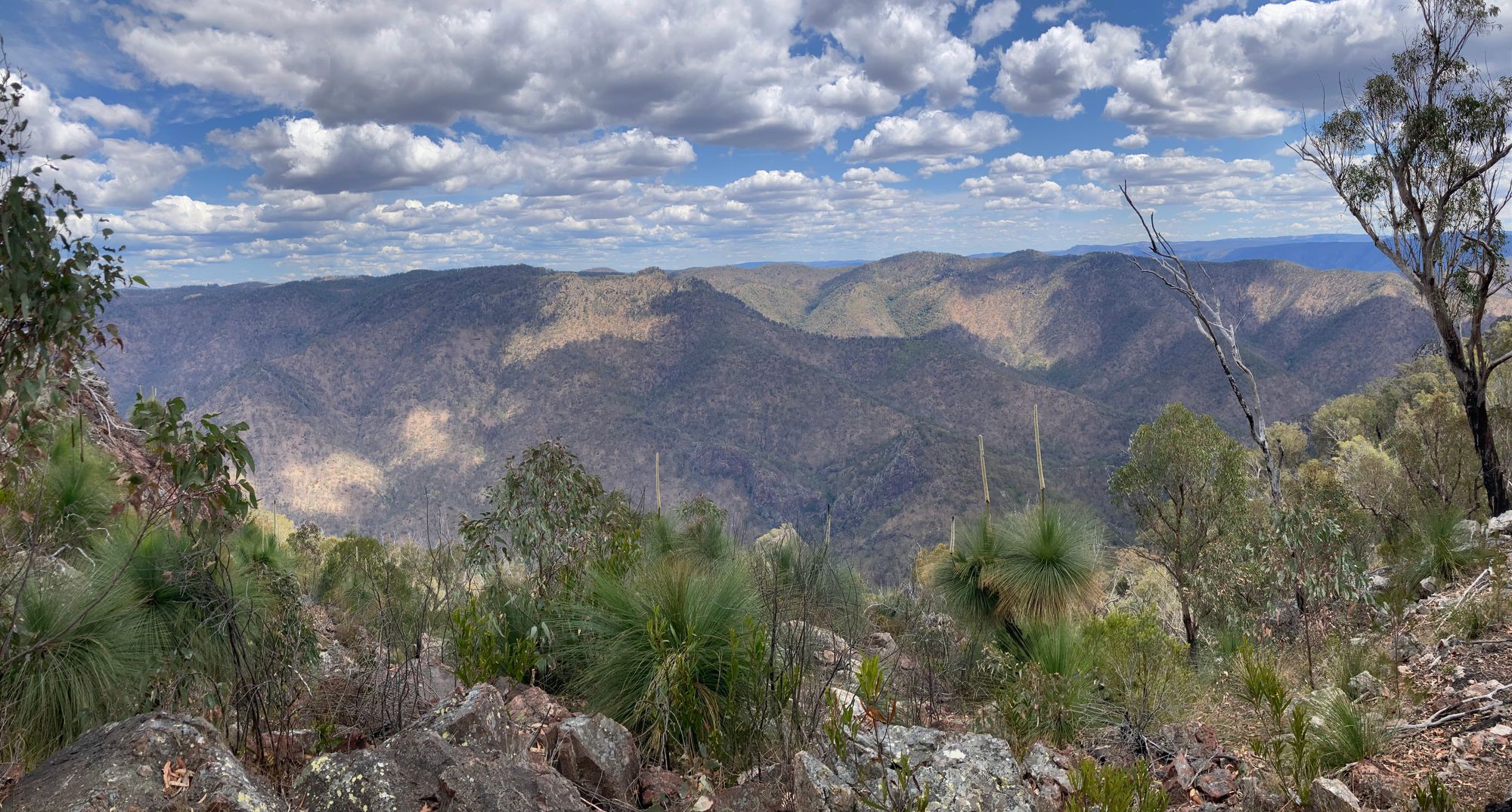 Green Gully Track - Day 2 - Bird's Nest Hut to Green Gully Hut