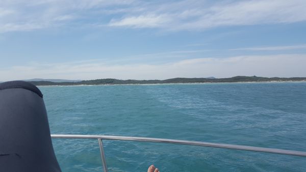 Cape Town, South Africa - Gansbaai