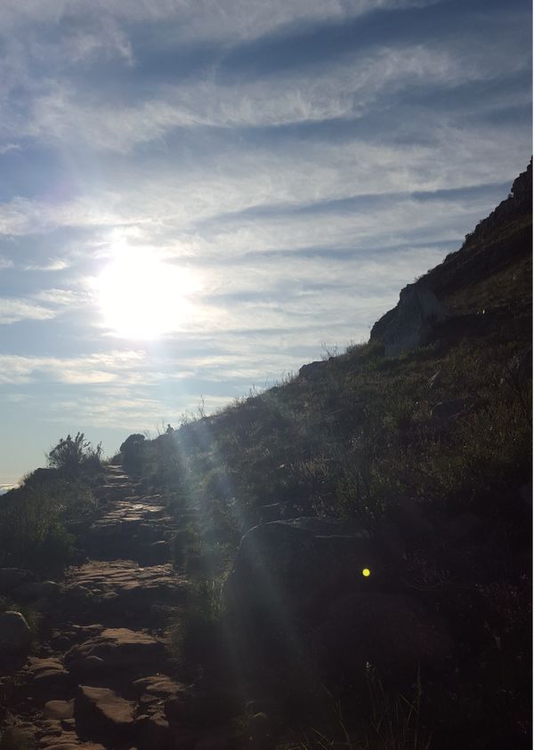 Cape Town, South Africa - Lion's Head, Cape Point, Franschhoek