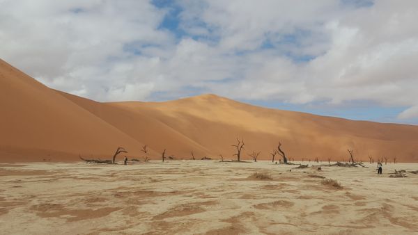 Namib-Naukluft National Park, Namibia