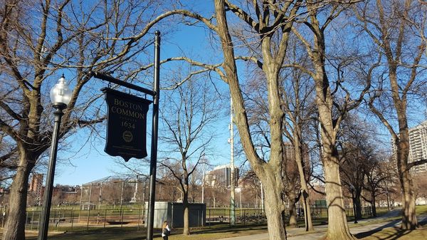 New York to Boston