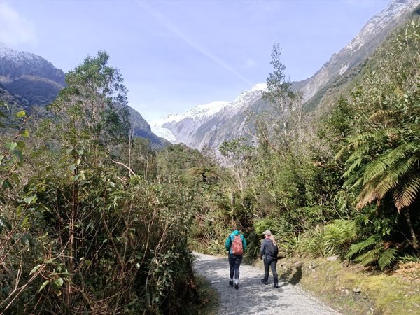 Franz Josef & Fox Glaciers