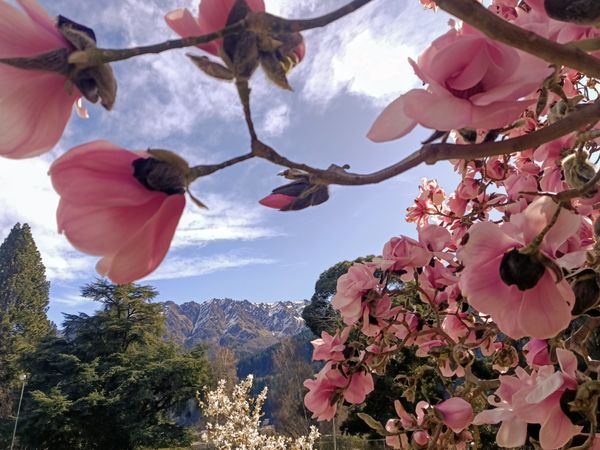 Queenstown - Day 3