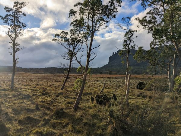 Overland Track - Day 3: Windermere to Pelion