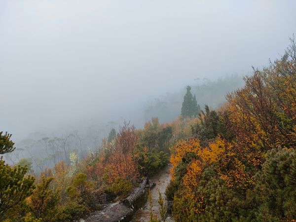Overland Track - Day 4: Pelion to Kia Ora