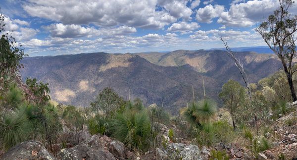 Green Gully Track - Day 2 - Bird's Nest Hut to Green Gully Hut