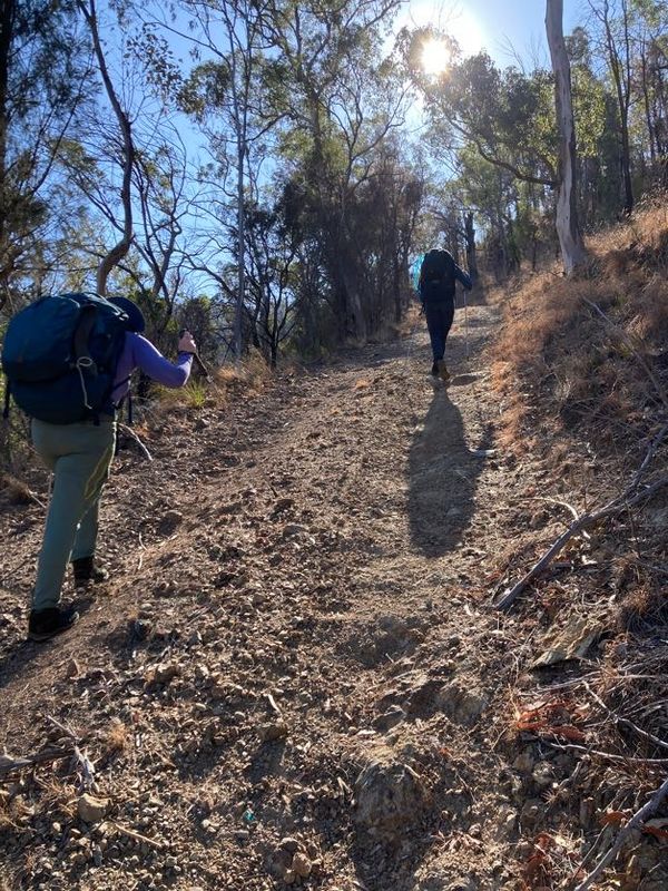 Green Gully Track - Day 4