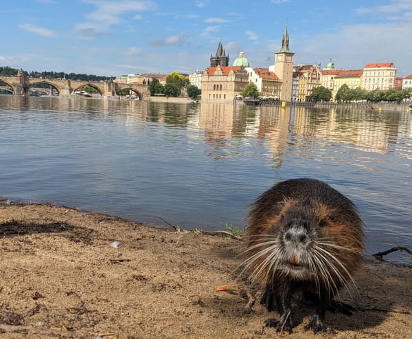 Prague - Day 3