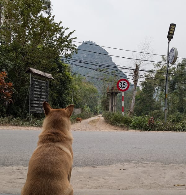 Ninh Binh - Day 3