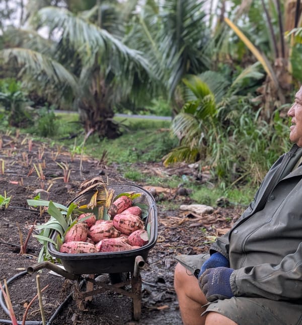 Cook Islands - Day 7
